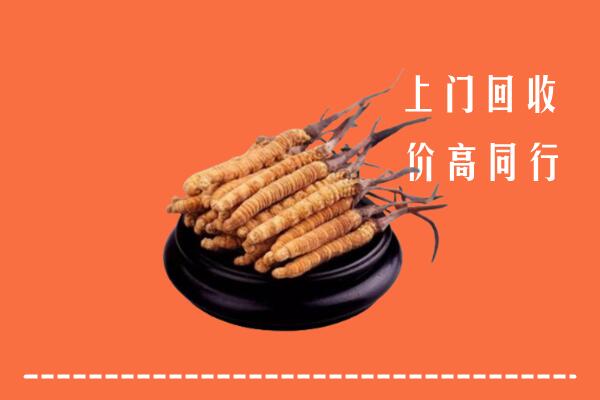 高价求购：保定高碑店回收散虫草