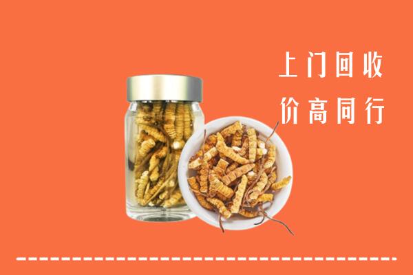 保定高碑店回收冬虫夏草