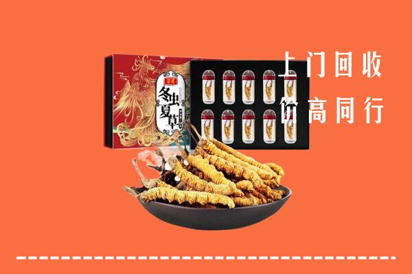 保定高碑店回收虫草